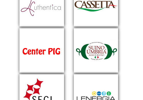 Main Sponsor 2018